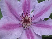 020.webp