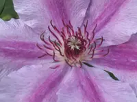 022.webp