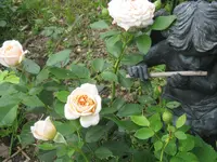 032.webp
