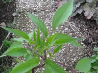 IMG_9089_1024x768.webp