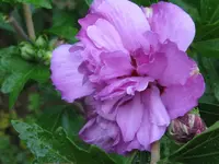 IMG_9072_1024x768.webp