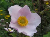 IMG_9076_1024x768.webp