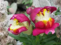 IMG_9080_1024x768.webp