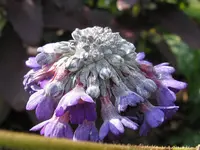 IMG_9083_1024x768.webp
