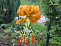 IMG_9086_1024x768.webp