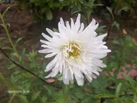 HPIM5208.webp