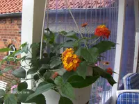 HPIM5211.webp