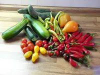 Garten 001b.webp Garten 001b.webp