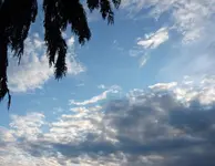 P1050524.webp