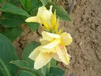 ALIM2371.webp
