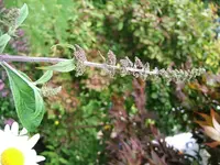 DSCF3847.webp