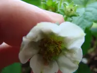 DSC04604.webp