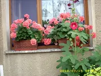 JD500472.webp