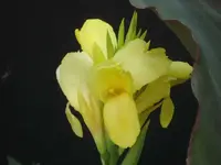 30890.webp