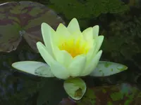 CIMG6986.webp
