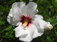 CIMG6759.webp