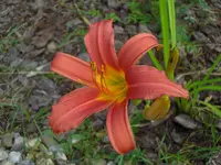 CIMG6340.webp