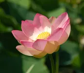 DSC_2661.webp