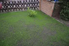 HJR_5847.webp