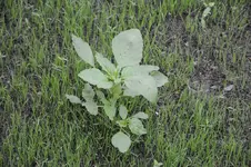 HJR_5843.webp
