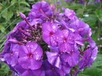 IMG_9104_1024x768.webp