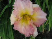 IMG_blessing_1024x768.webp