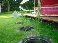 CIMG0158.webp CIMG0158.webp