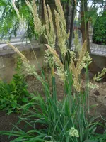 CIMG0396.webp
