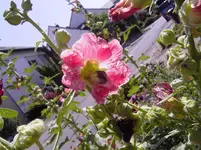 PICT7363.webp
