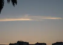 P1050531.webp