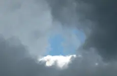 P1050528.webp