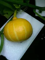100804A000.webp