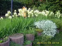 JD500138.webp