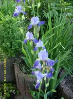 JD500148.webp