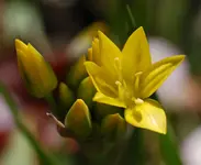 DSC_5496.webp