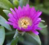 DSC_5502.webp