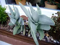 Kopie von CIMG1051.webp