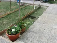 CIMG7916.webp