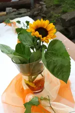 Geburtstag (3).webp