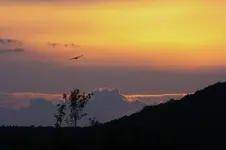Abendhimmel (2).webp