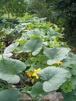 DSCF6880.webp