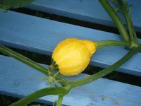 DSCF6881.webp