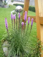 DSCF6883.webp