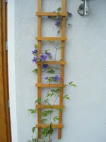 DSCF6887.webp