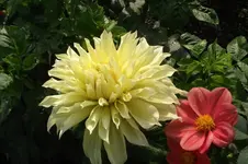 Garten 001.webp