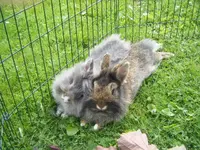 DSCF6890.webp