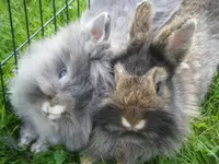 DSCF6891.webp