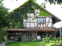 IMG_0570.webp IMG_0570.webp