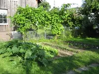 IMG_0561.webp IMG_0561.webp