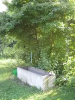 IMG_0562.webp IMG_0562.webp